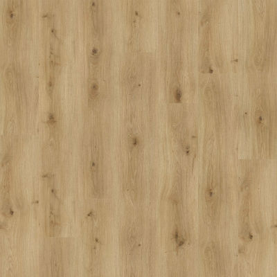 SAFFIER Estrada ES122 Buffalo Oak 