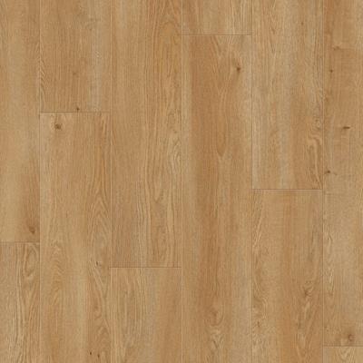 SAFFIER Serenade SE601 Vancouver Oak 