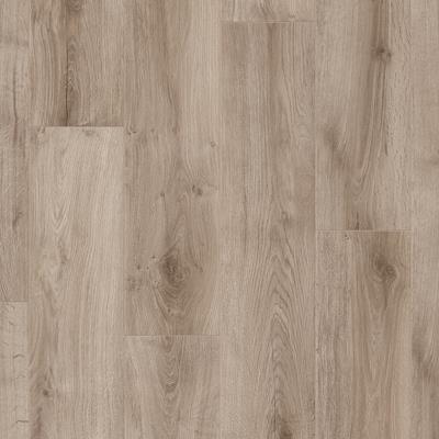 SAFFIER Serenade SE619 Winnipeg Oak 