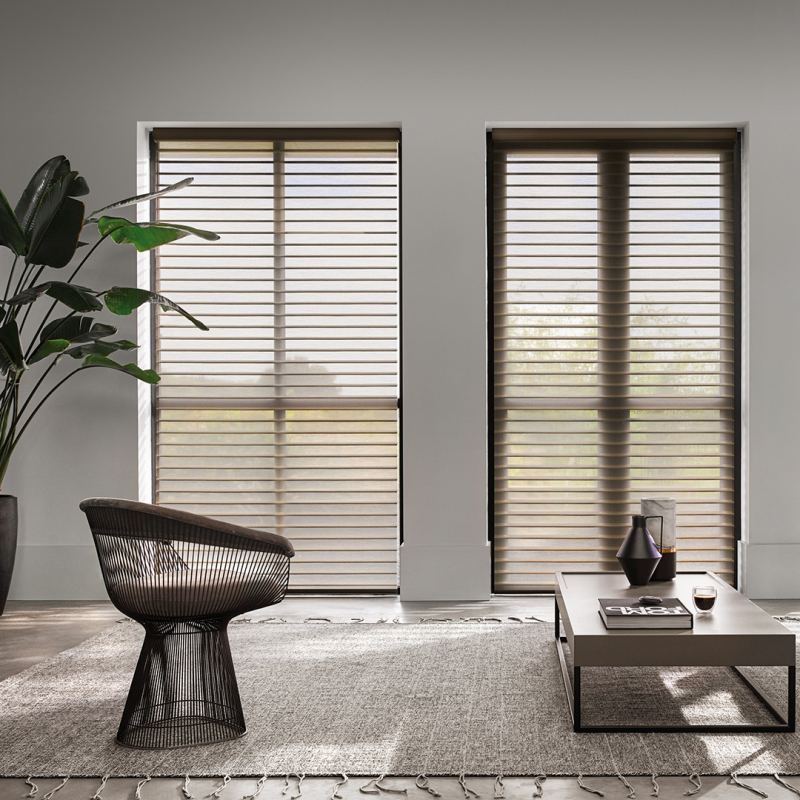 Luxaflex Silhouette Shades